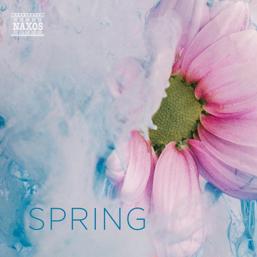 小舞让我揉她🐻脱她衣服
